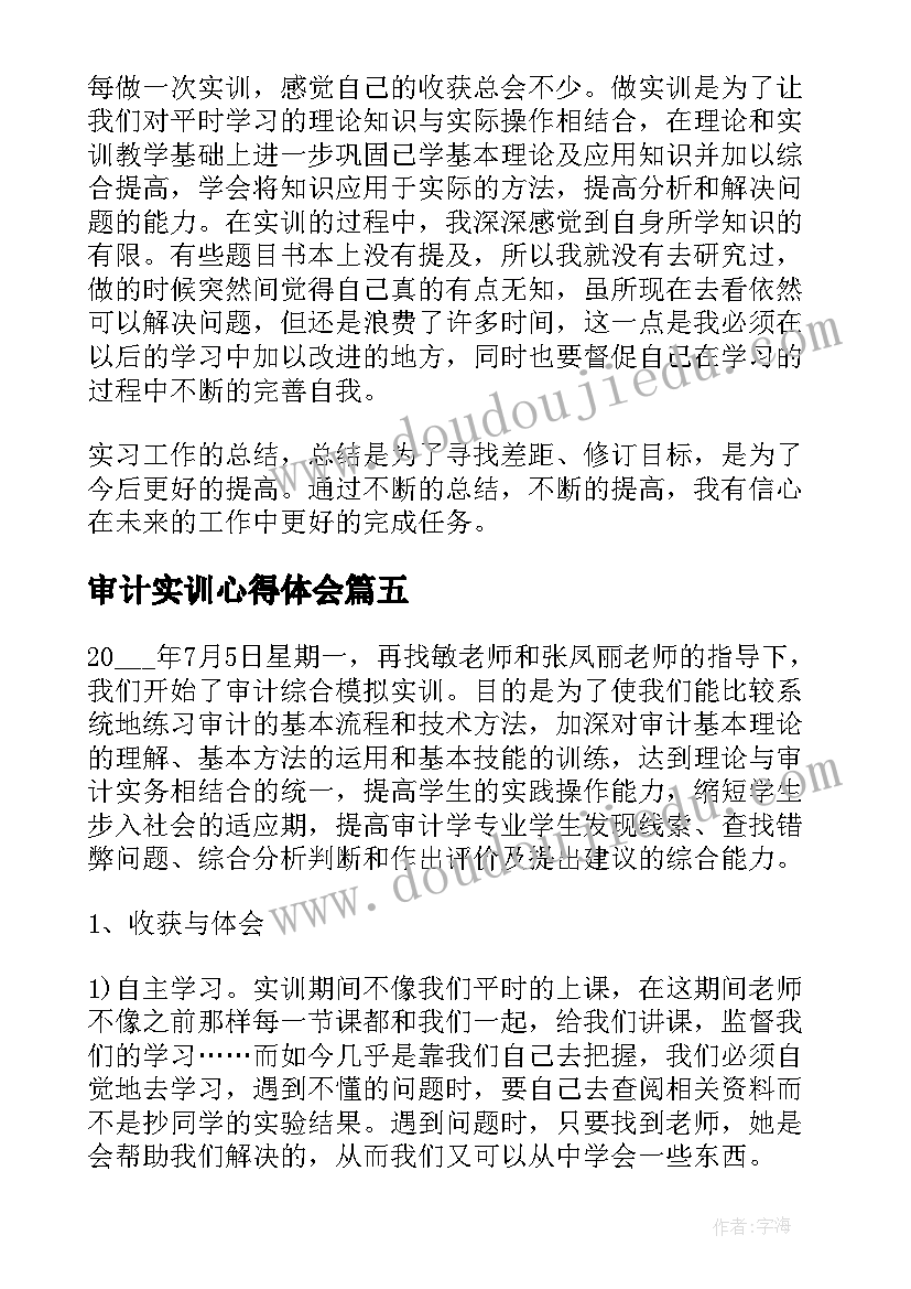 2023年审计实训心得体会(实用5篇)