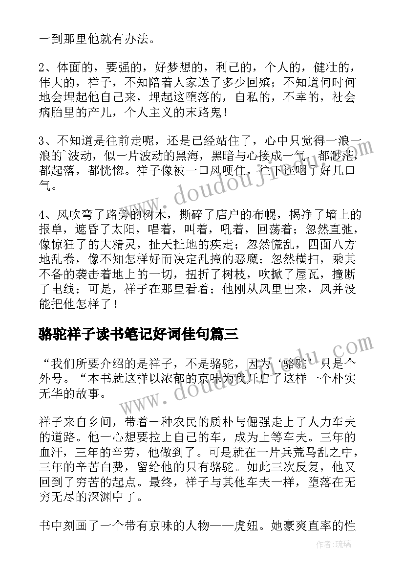 最新骆驼祥子读书笔记好词佳句(精选10篇)