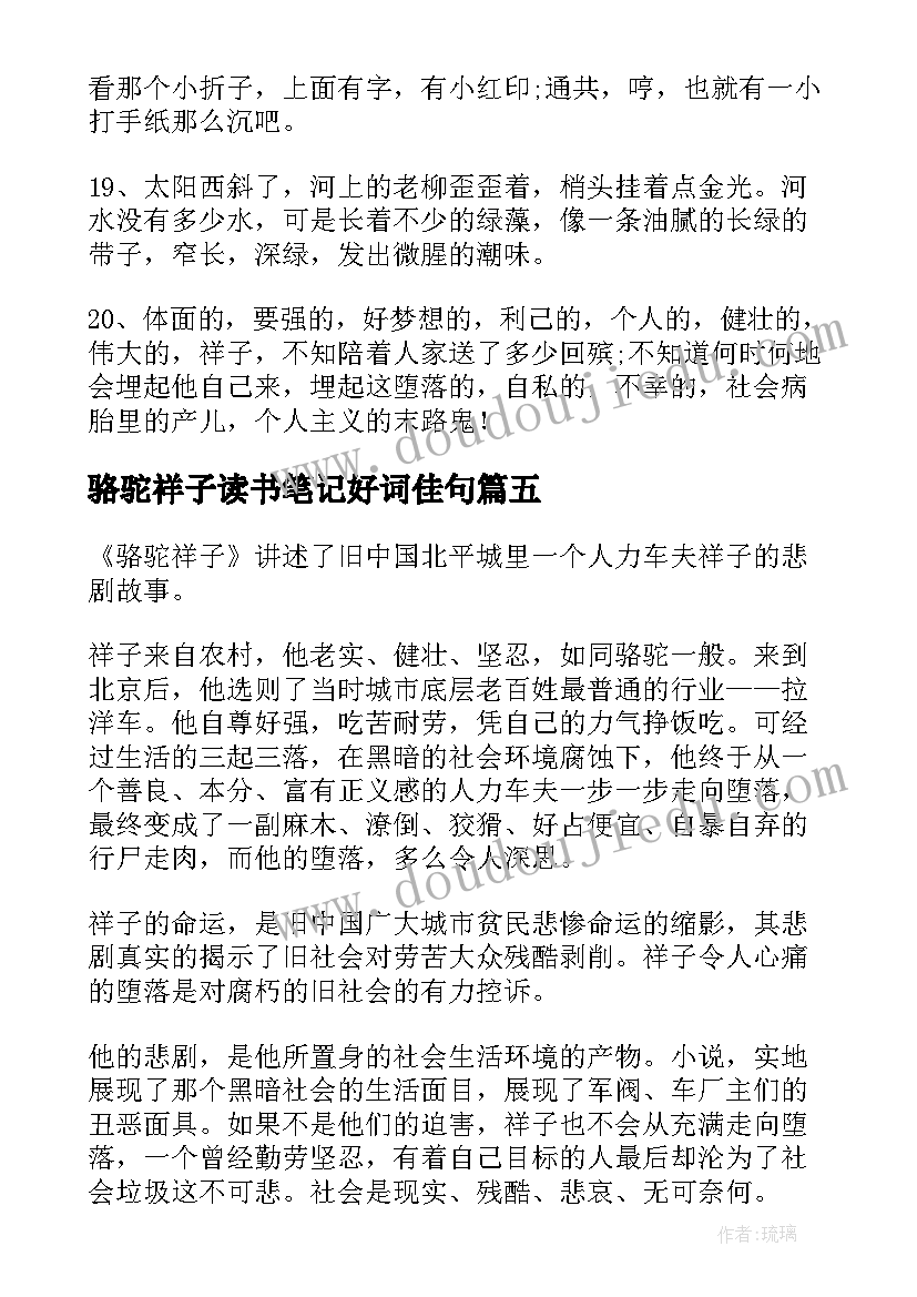 最新骆驼祥子读书笔记好词佳句(精选10篇)