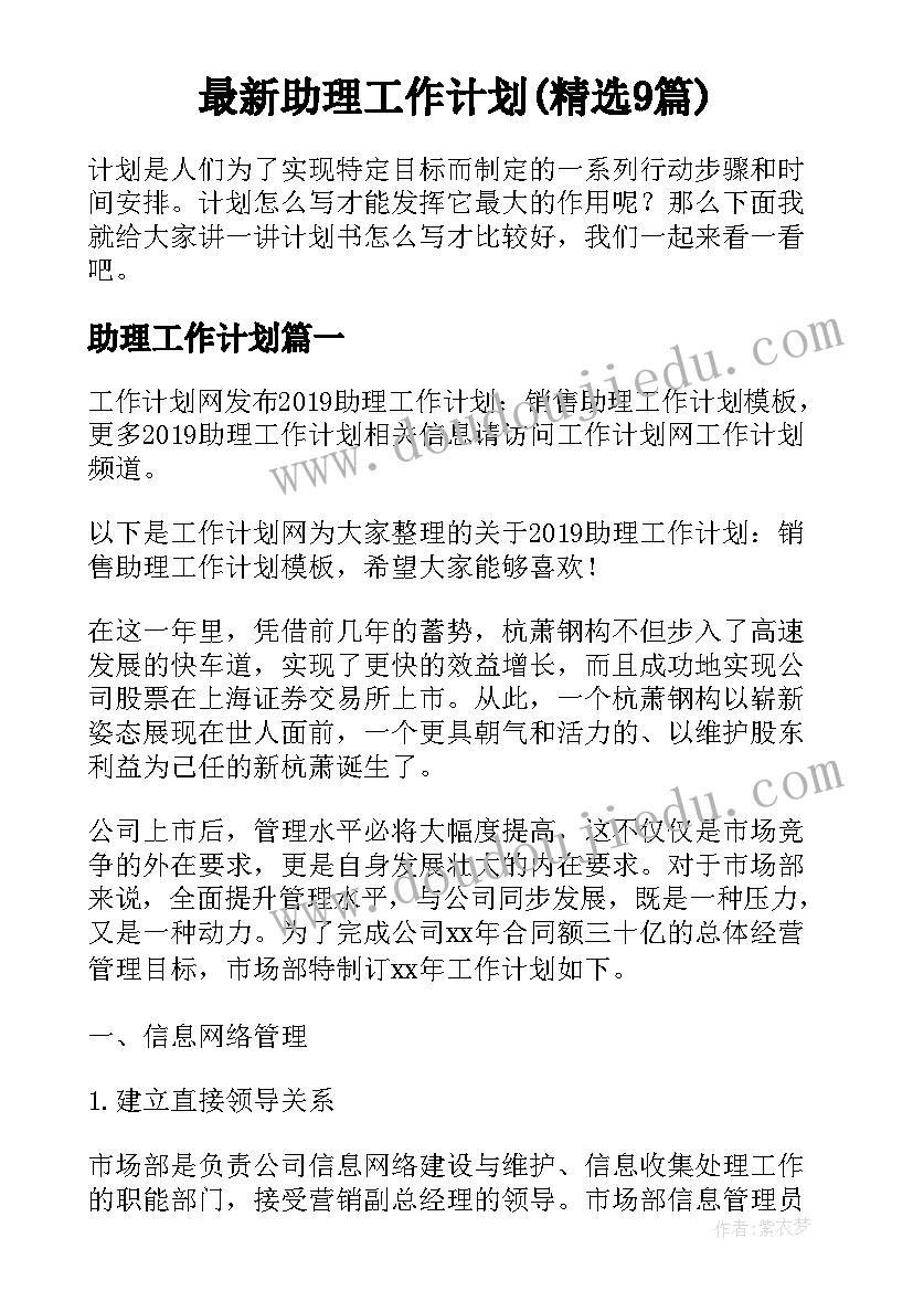 最新助理工作计划(精选9篇)