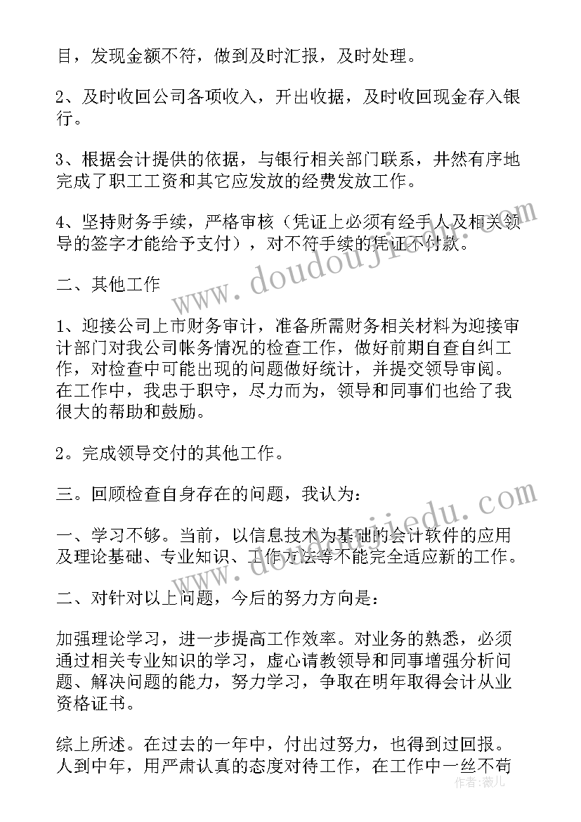 出纳年底总结和新的一年工作计划(汇总5篇)