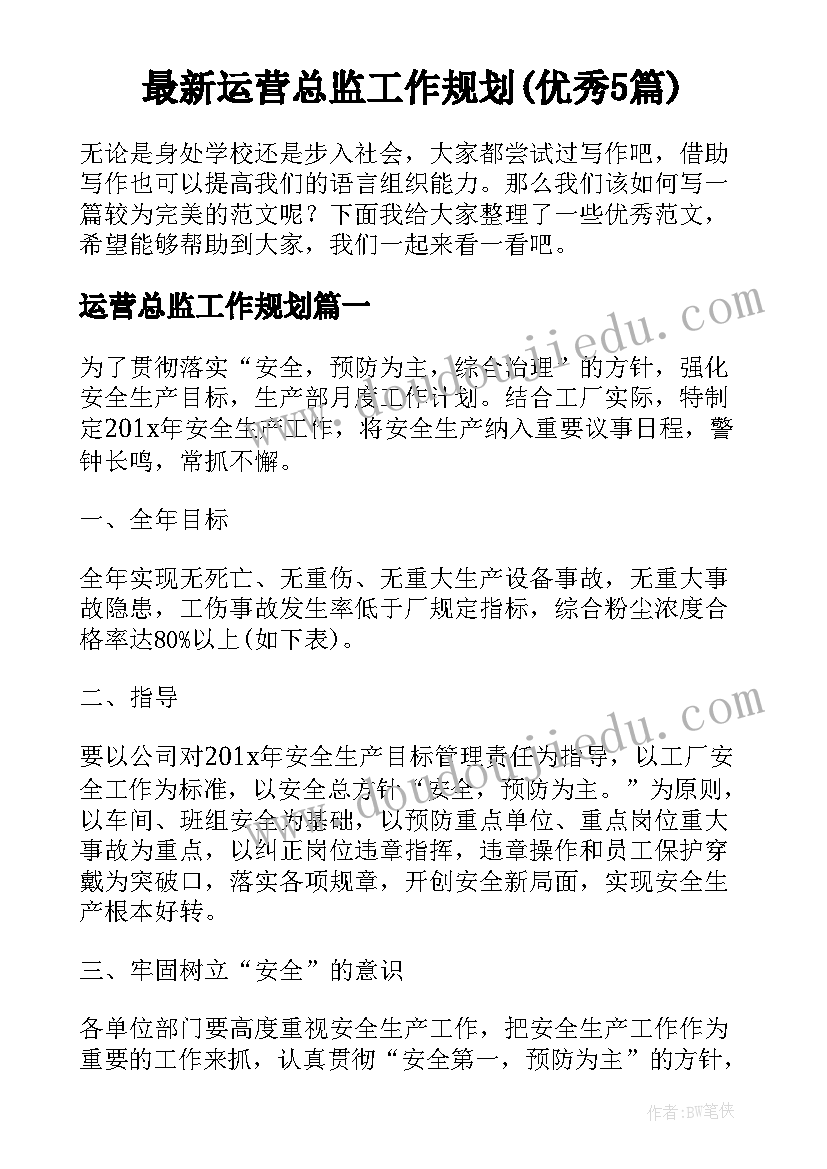 最新运营总监工作规划(优秀5篇)