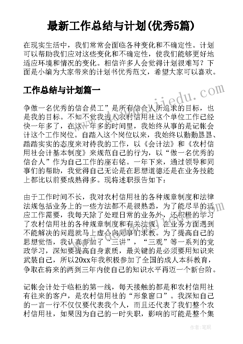 最新工作总结与计划(优秀5篇)