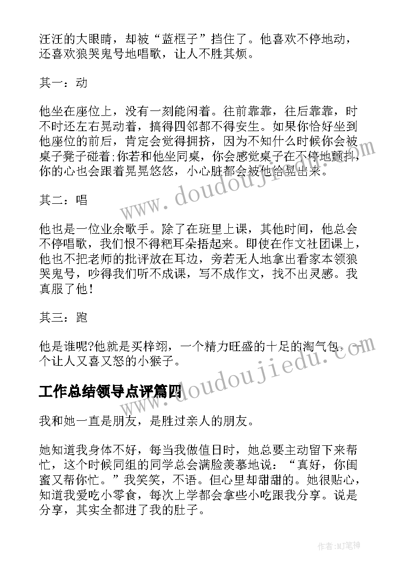 2023年工作总结领导点评(大全10篇)