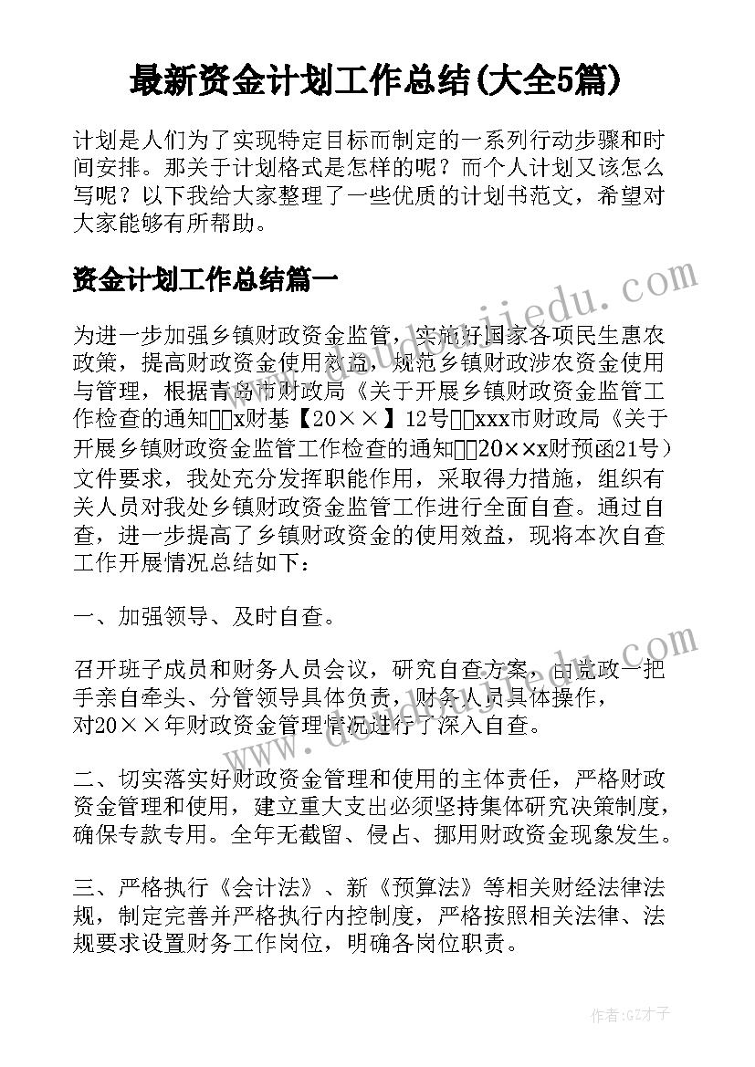 最新资金计划工作总结(大全5篇)