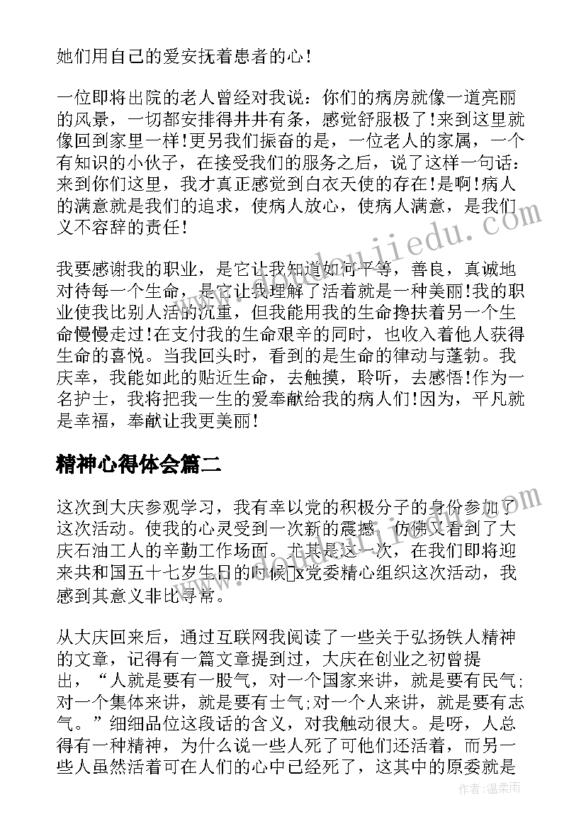 2023年精神心得体会(优秀5篇)