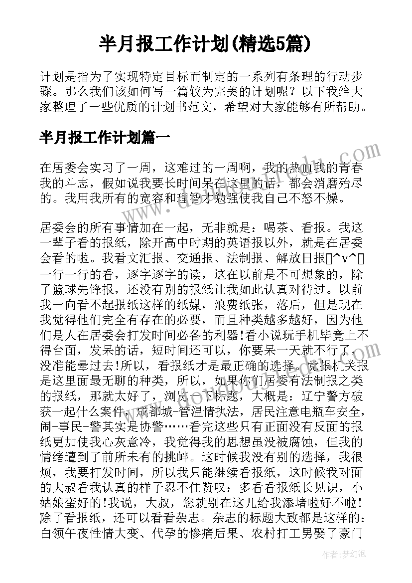 半月报工作计划(精选5篇)