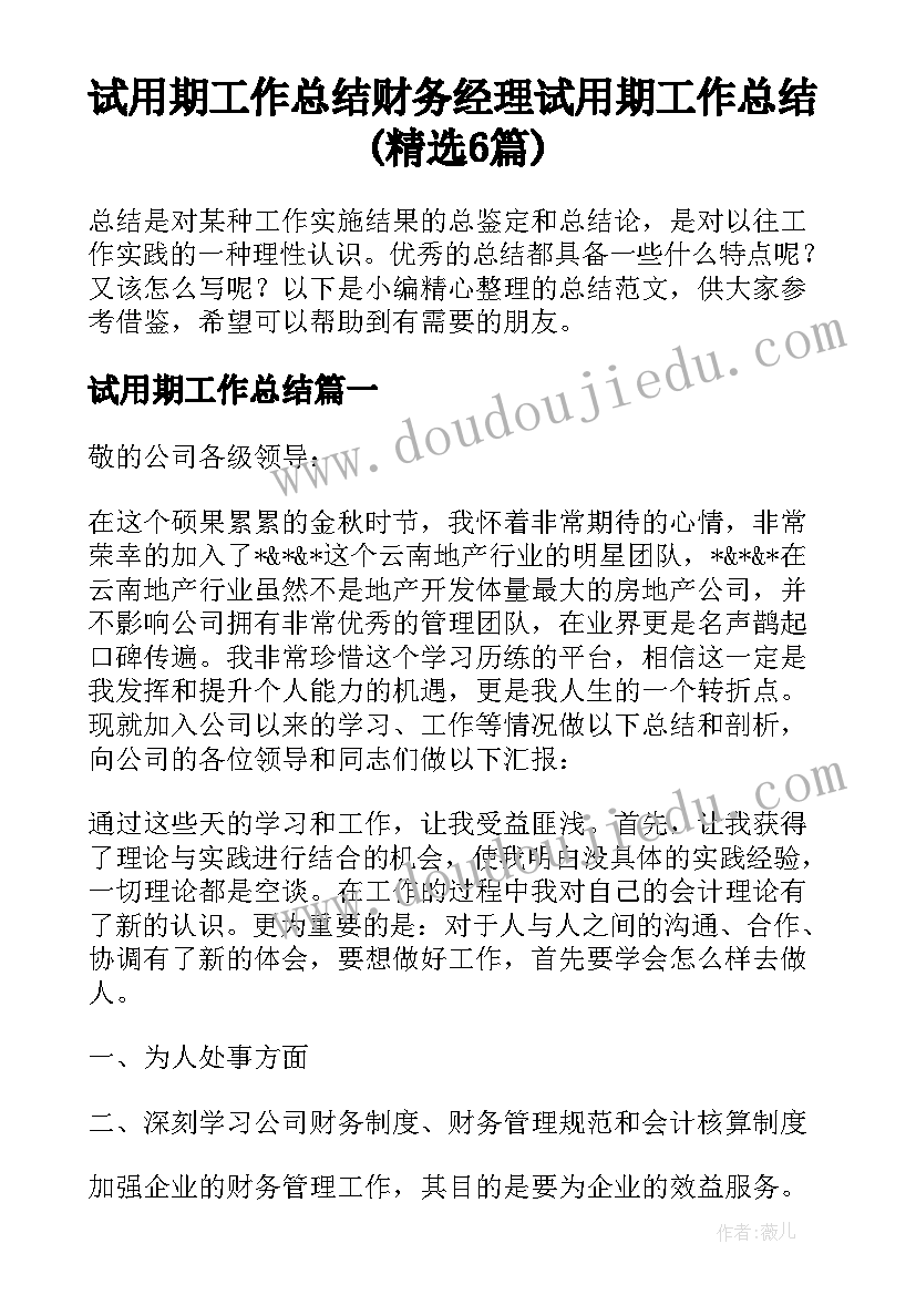 试用期工作总结 财务经理试用期工作总结(精选6篇)