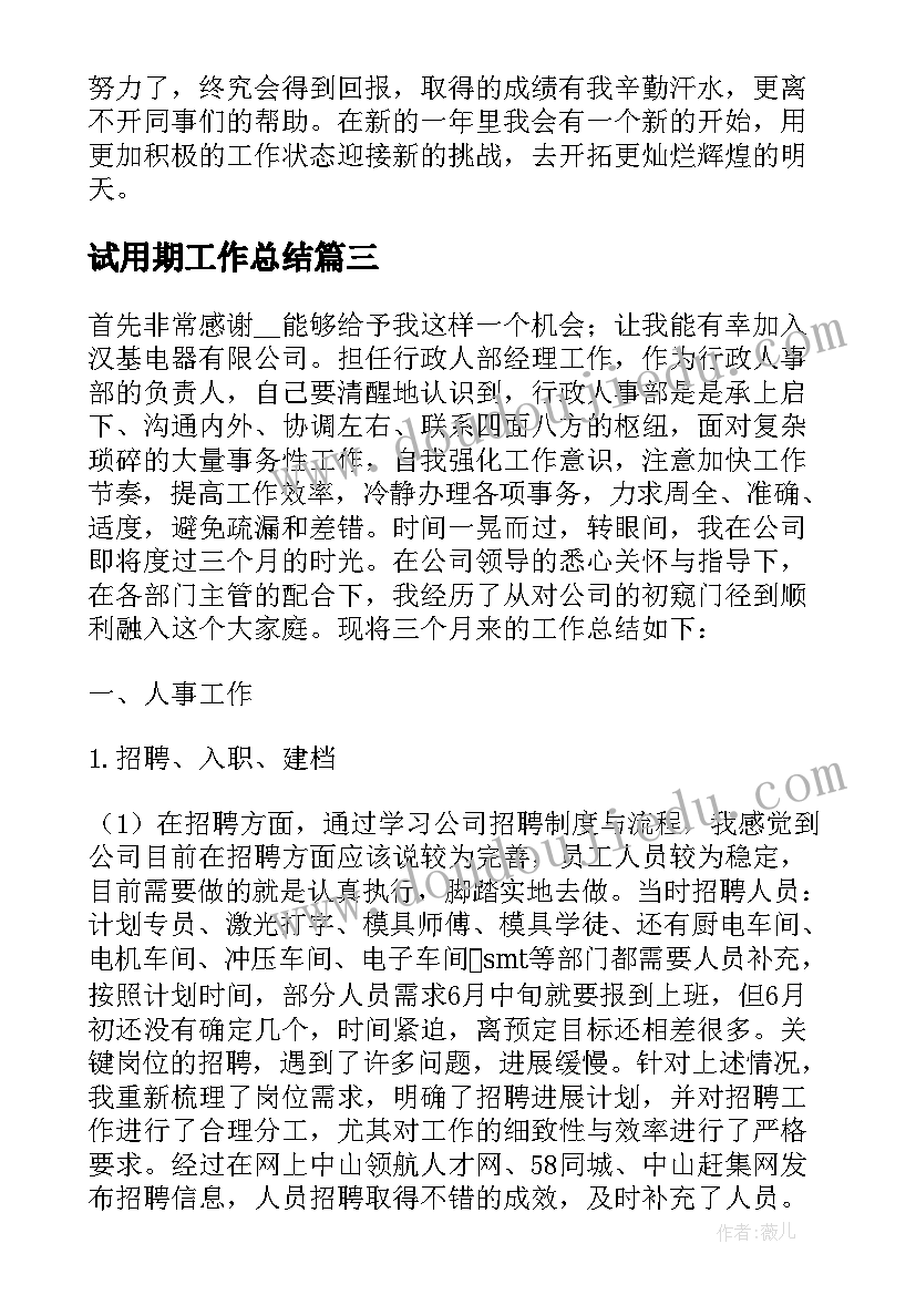 试用期工作总结 财务经理试用期工作总结(精选6篇)