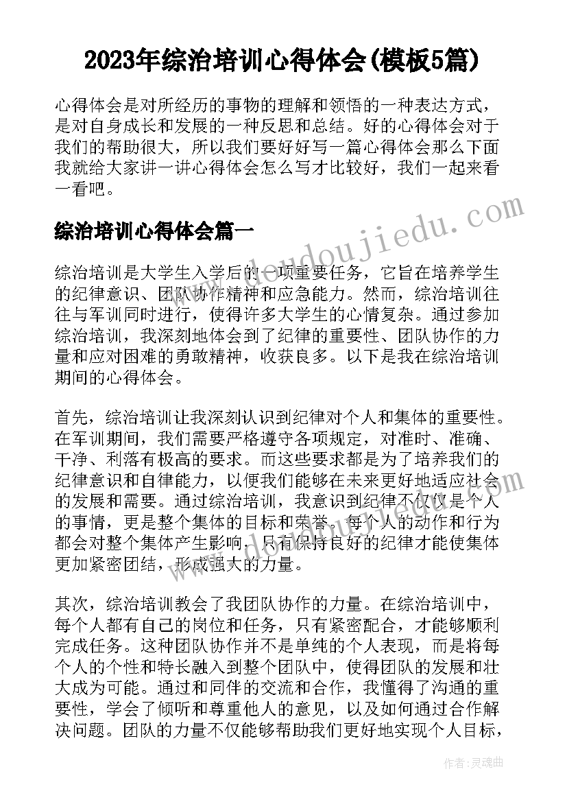 2023年综治培训心得体会(模板5篇)