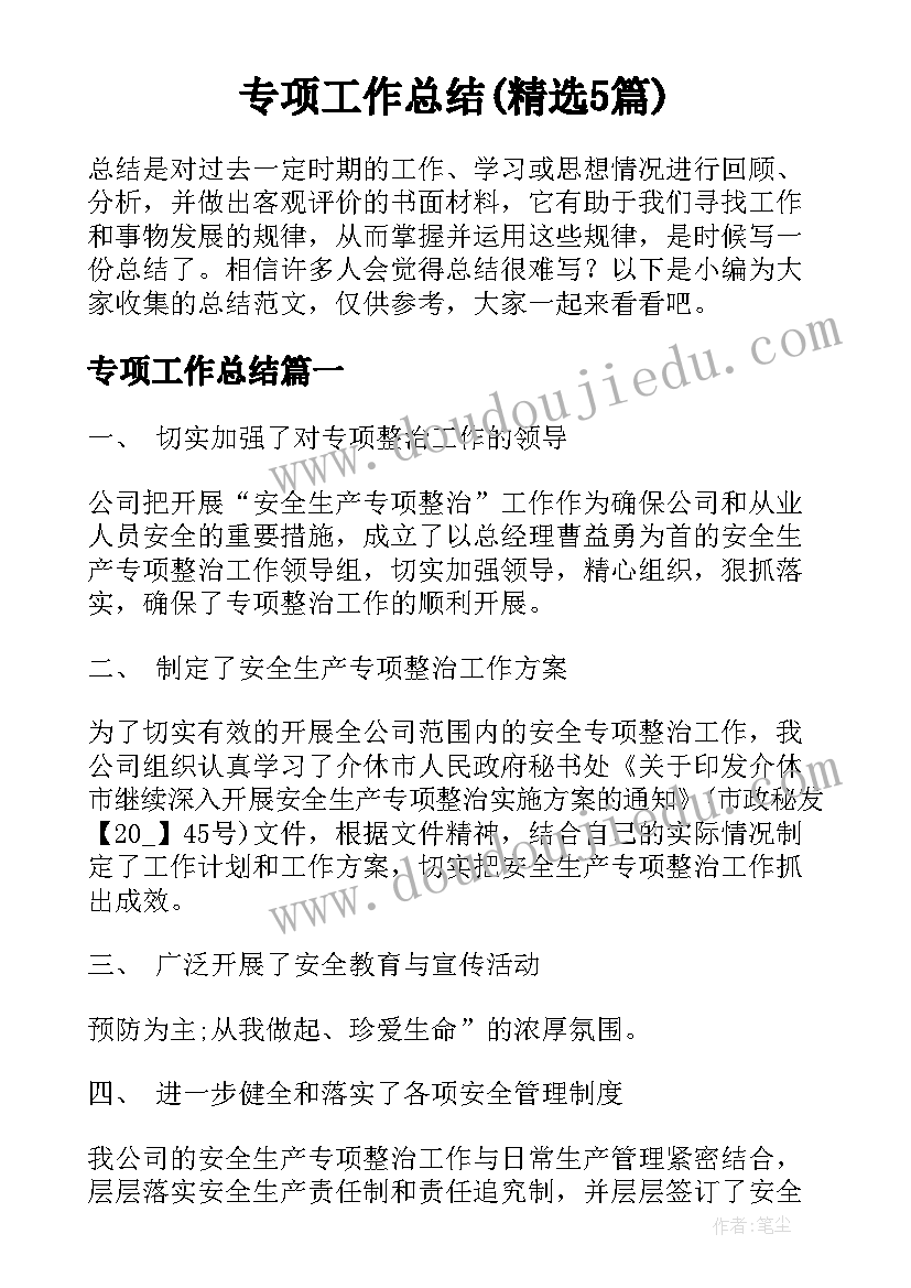 专项工作总结(精选5篇)