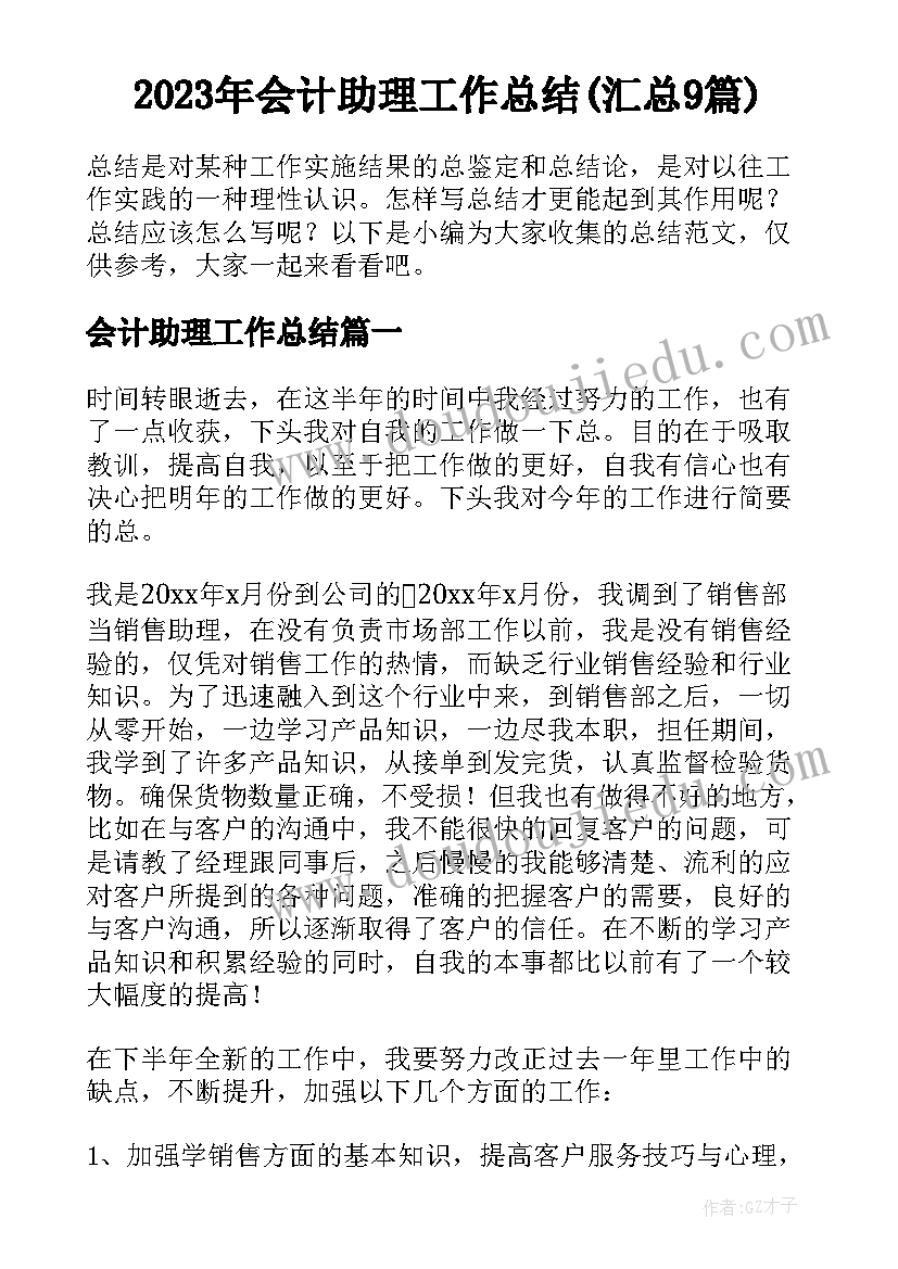 2023年会计助理工作总结(汇总9篇)