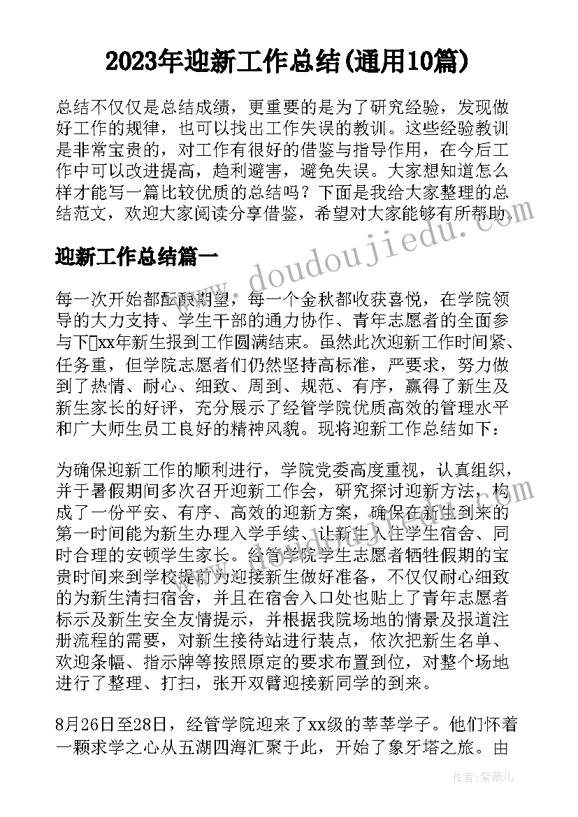 2023年迎新工作总结(通用10篇)