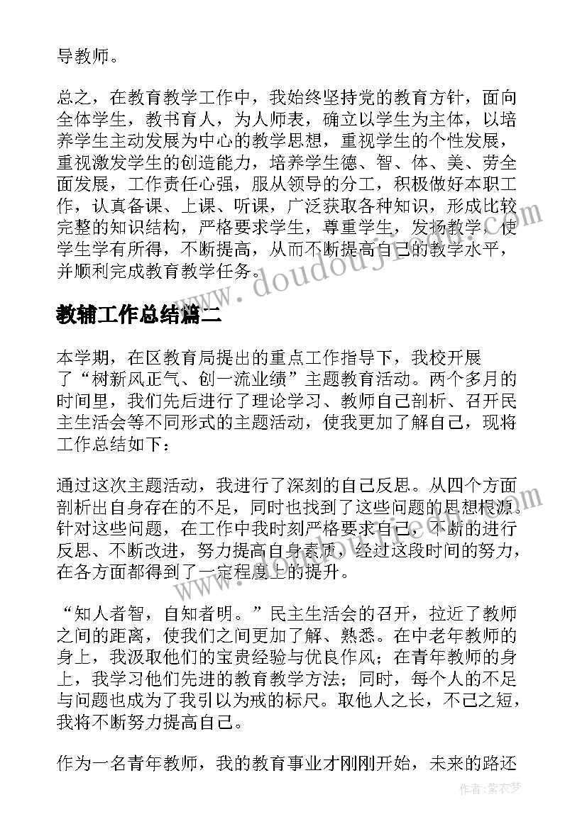 2023年教辅工作总结(汇总5篇)