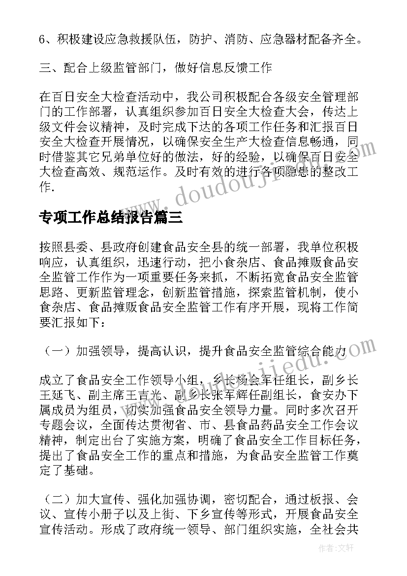 2023年专项工作总结报告(通用9篇)