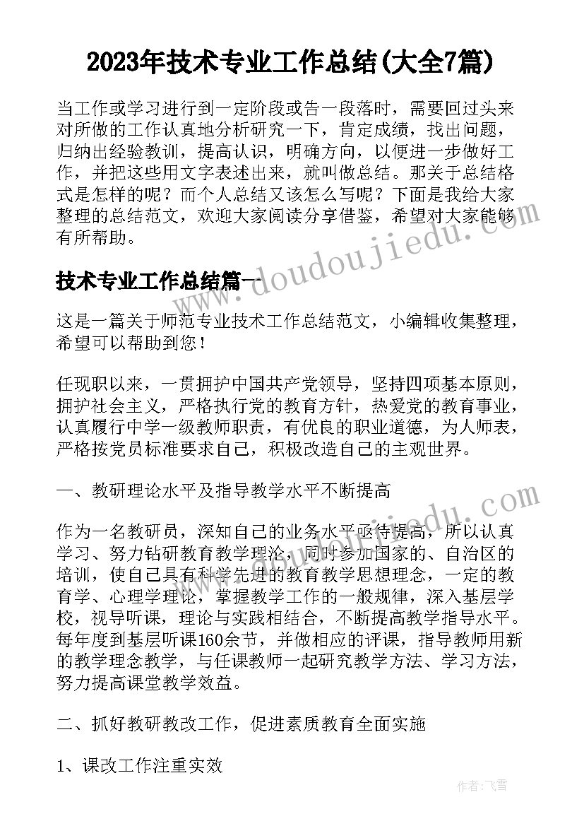 2023年技术专业工作总结(大全7篇)