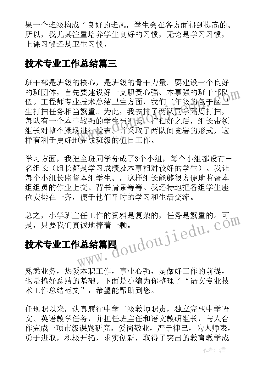 2023年技术专业工作总结(大全7篇)