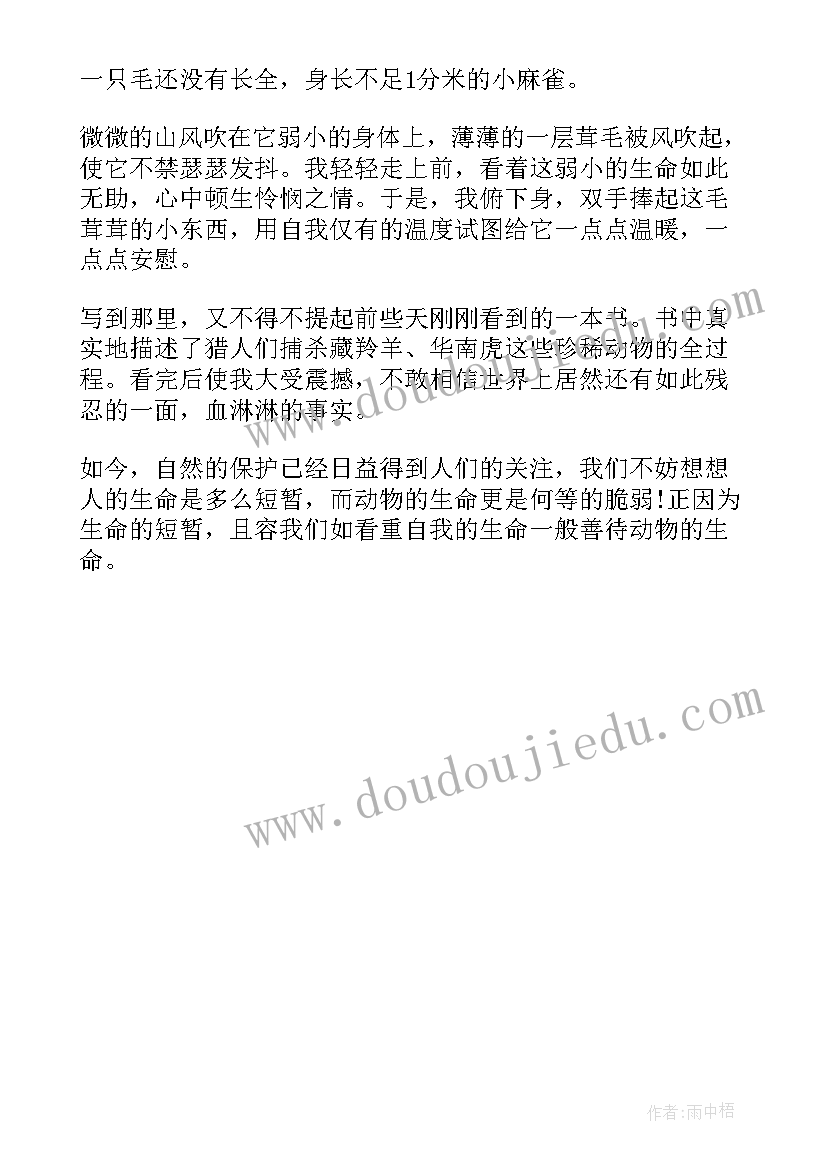 善待生命事例 善待自己珍爱生命演讲稿(通用5篇)