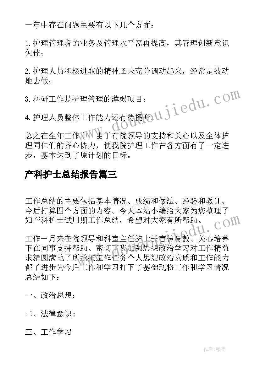 2023年产科护士总结报告(模板5篇)