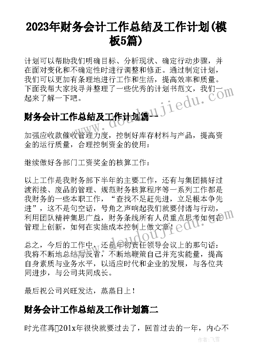 2023年财务会计工作总结及工作计划(模板5篇)