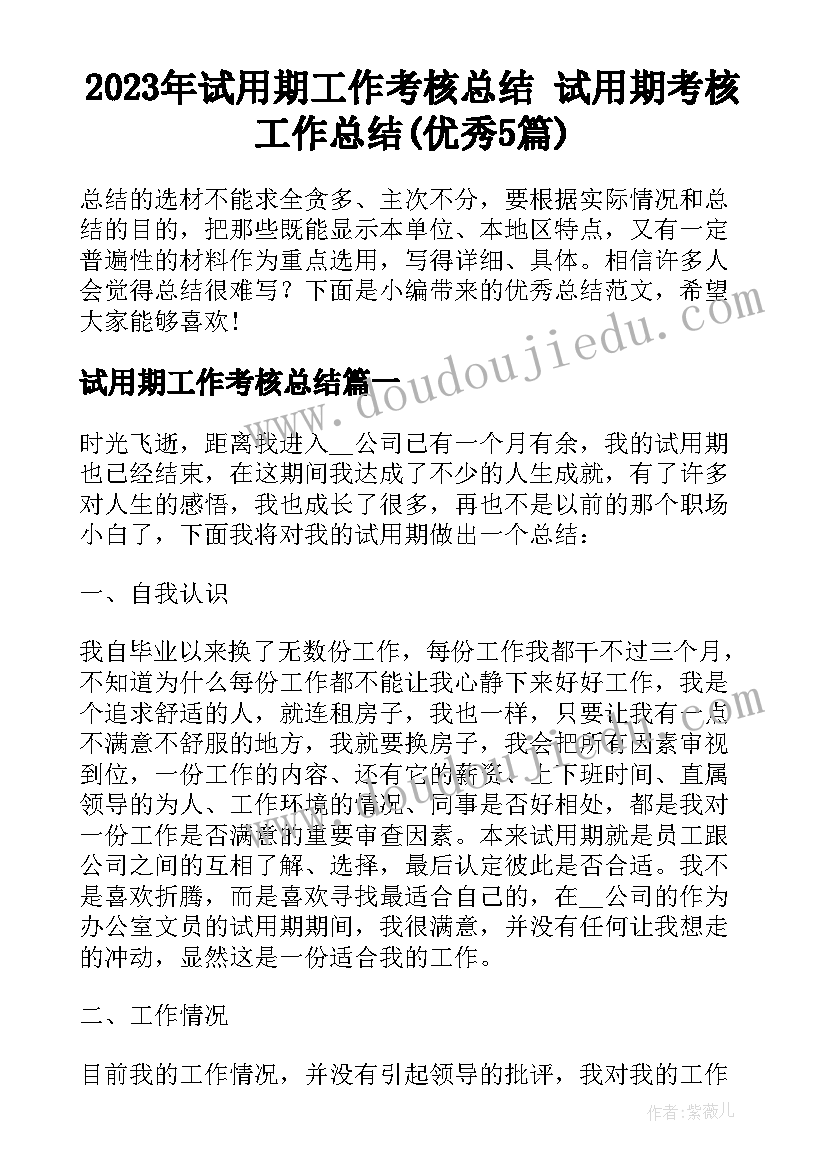 2023年试用期工作考核总结 试用期考核工作总结(优秀5篇)