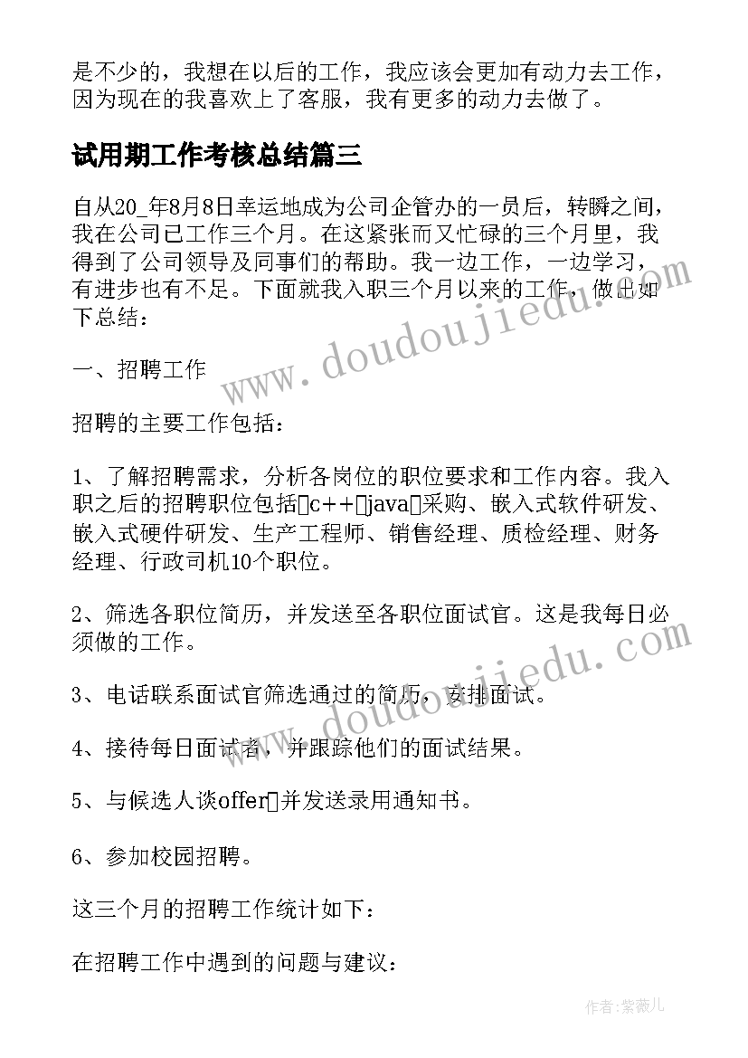 2023年试用期工作考核总结 试用期考核工作总结(优秀5篇)