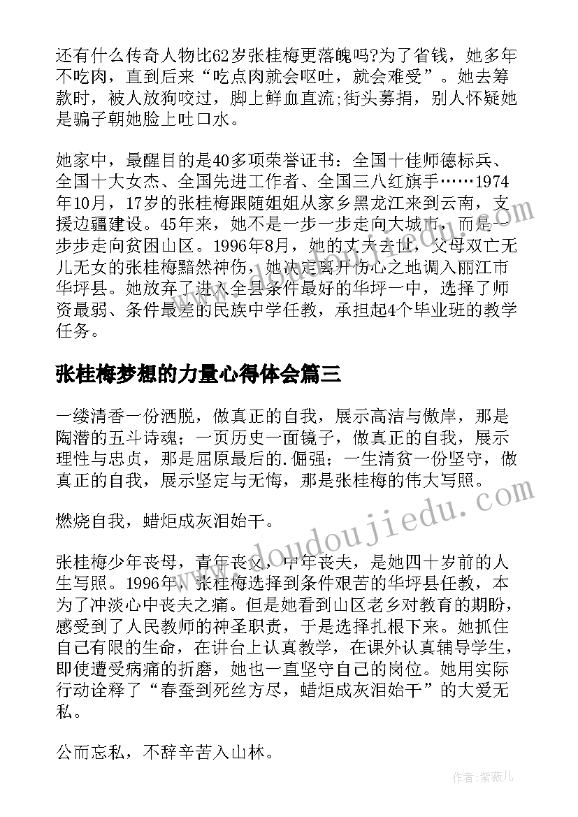 张桂梅梦想的力量心得体会(模板6篇)