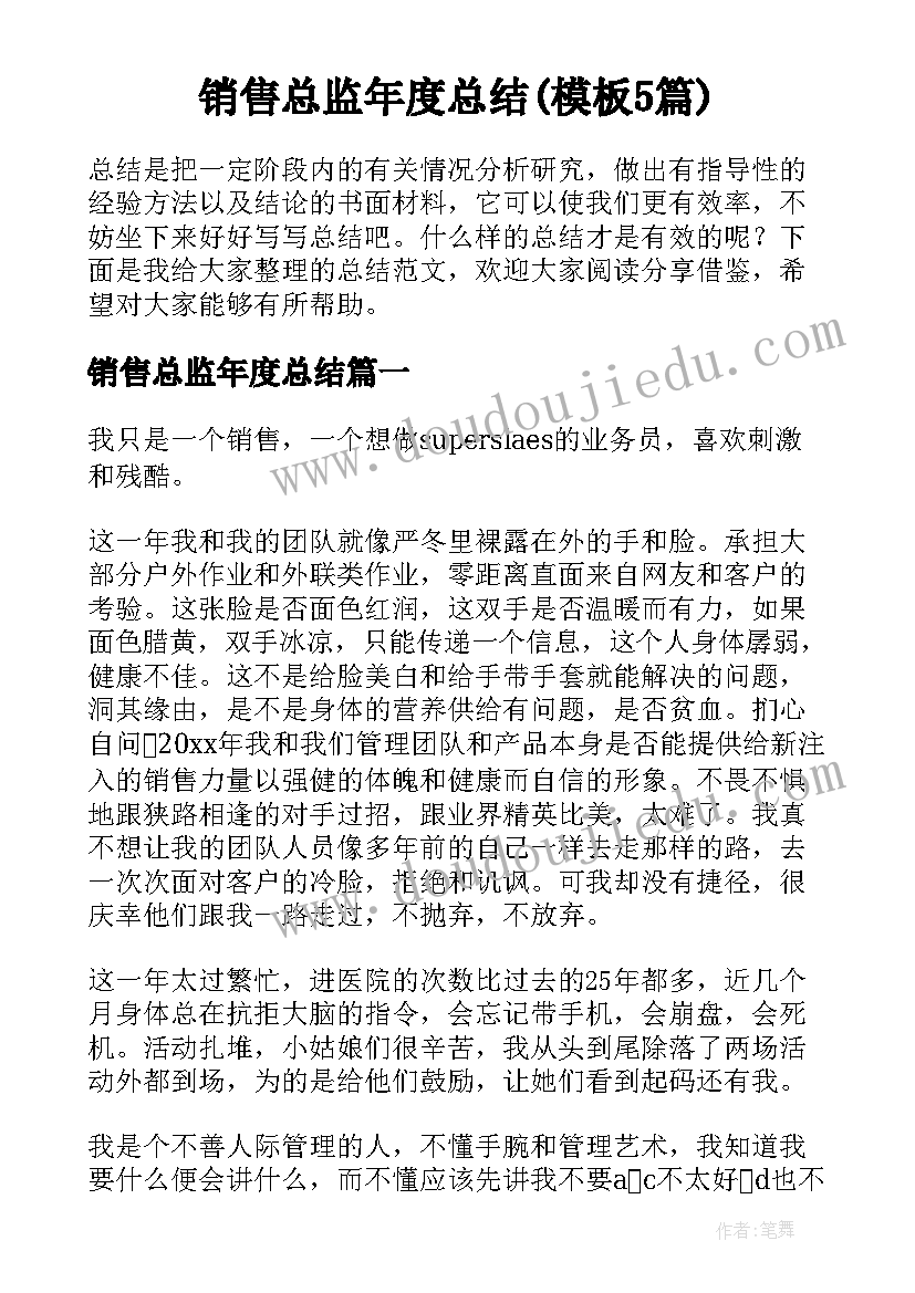 销售总监年度总结(模板5篇)