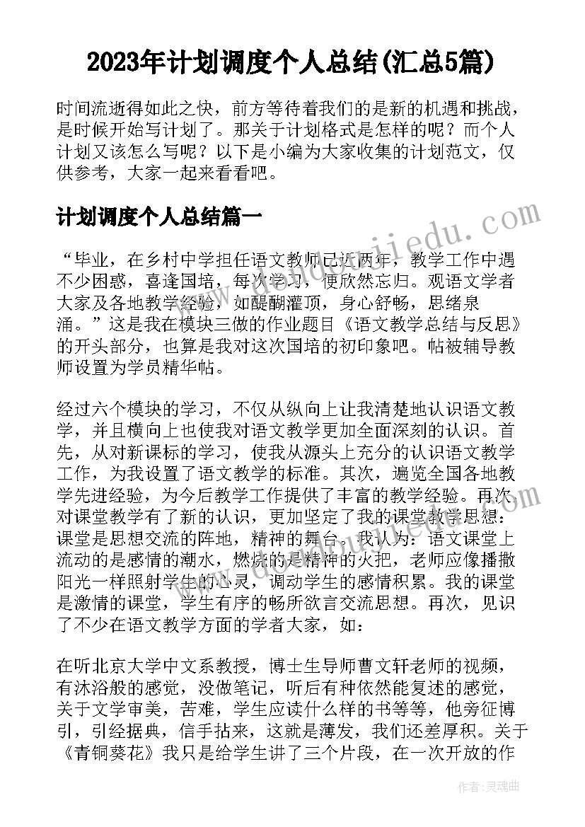 2023年计划调度个人总结(汇总5篇)