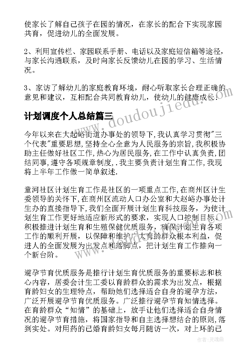 2023年计划调度个人总结(汇总5篇)