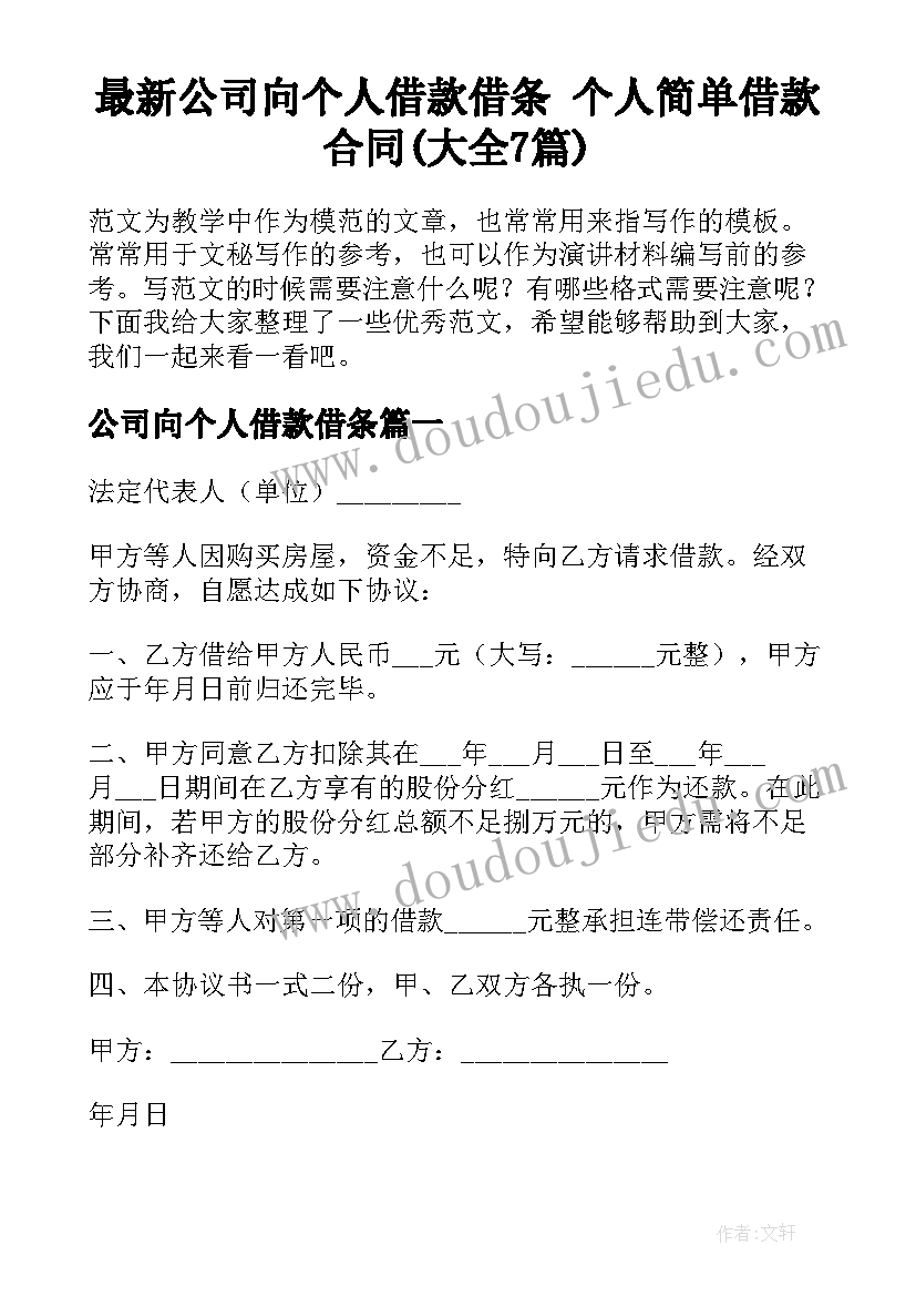 最新公司向个人借款借条 个人简单借款合同(大全7篇)