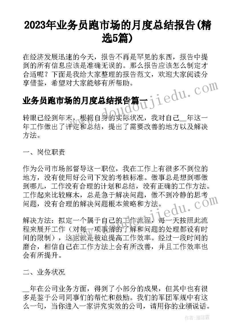 2023年业务员跑市场的月度总结报告(精选5篇)