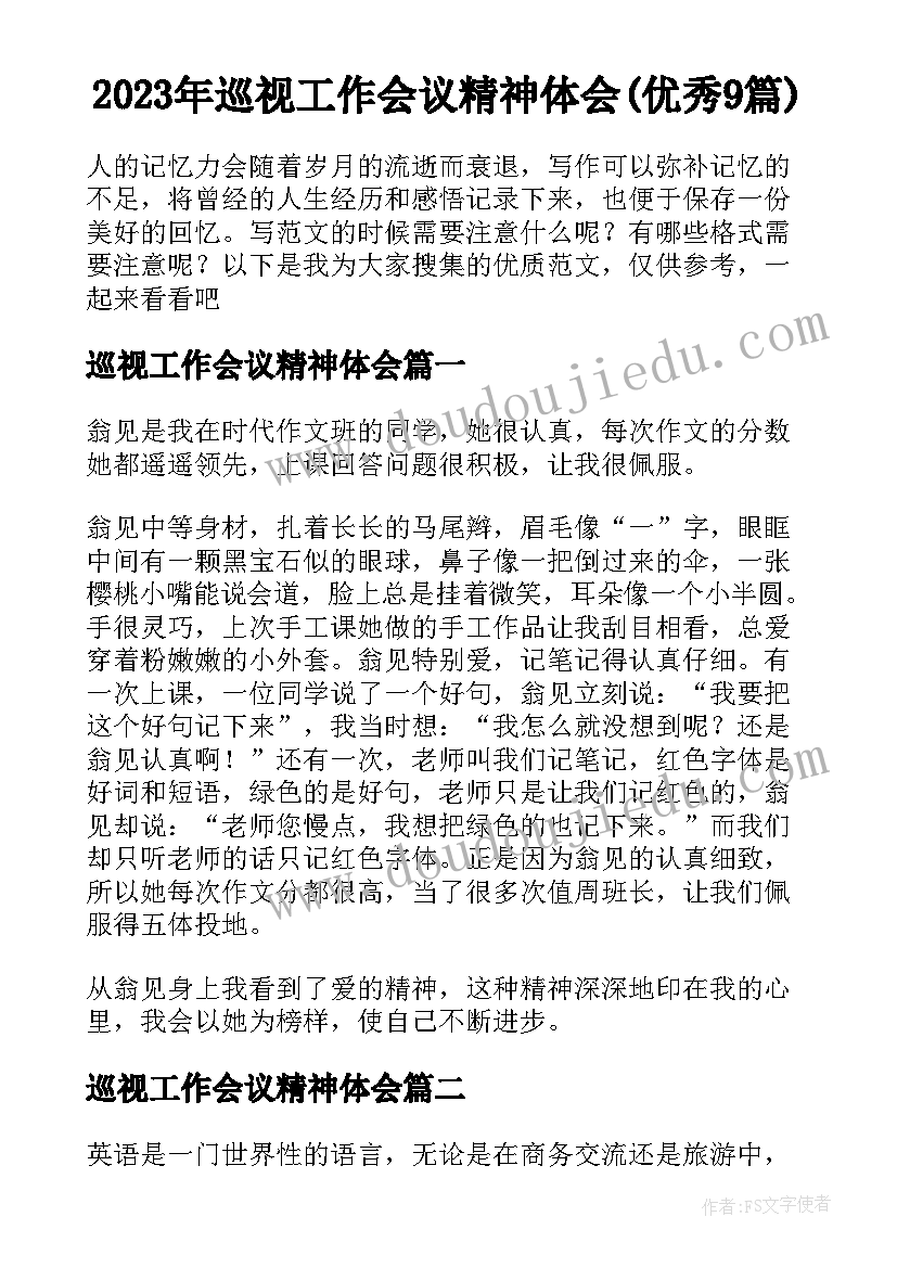 2023年巡视工作会议精神体会(优秀9篇)