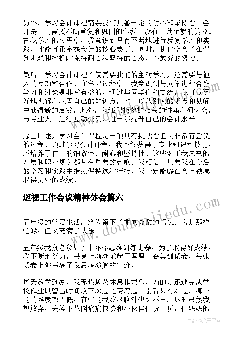 2023年巡视工作会议精神体会(优秀9篇)