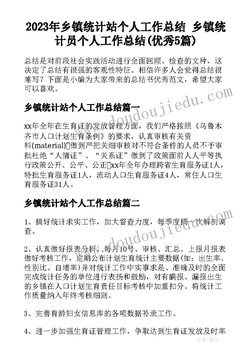 2023年乡镇统计站个人工作总结 乡镇统计员个人工作总结(优秀5篇)