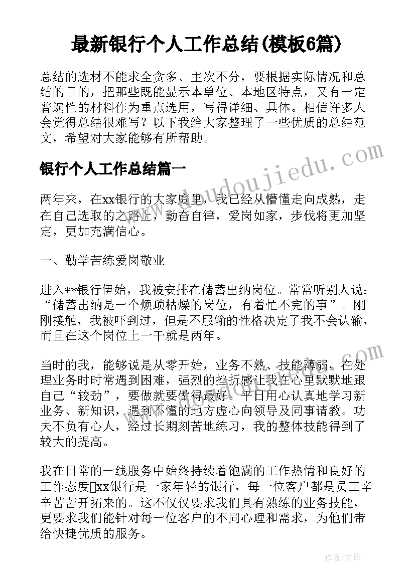 最新银行个人工作总结(模板6篇)