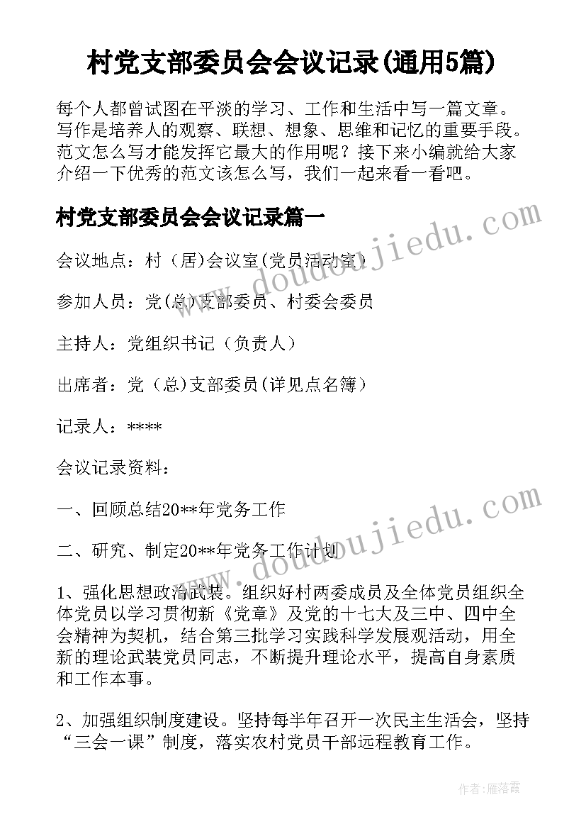 村党支部委员会会议记录(通用5篇)