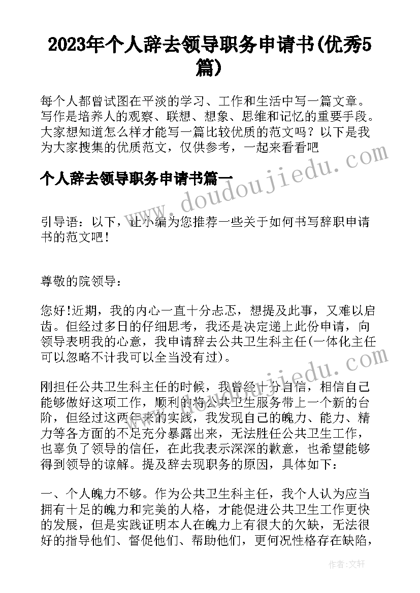 2023年个人辞去领导职务申请书(优秀5篇)