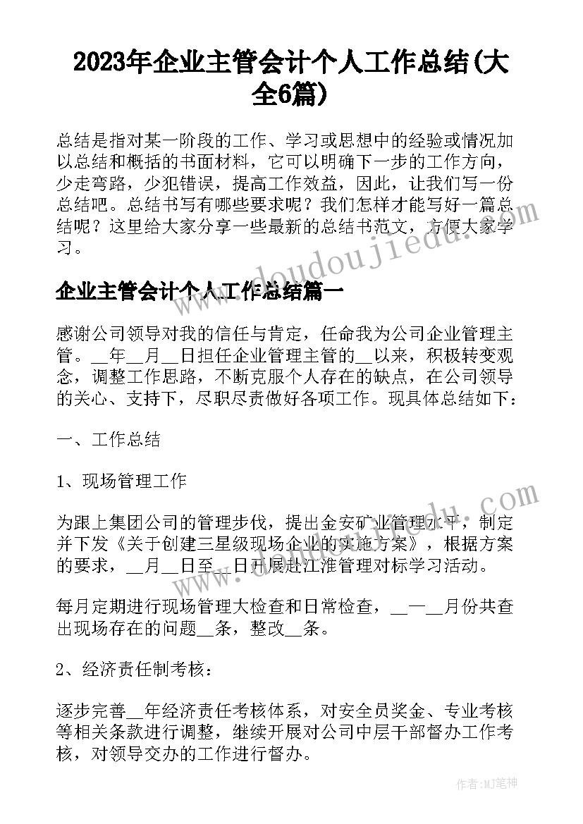 2023年企业主管会计个人工作总结(大全6篇)