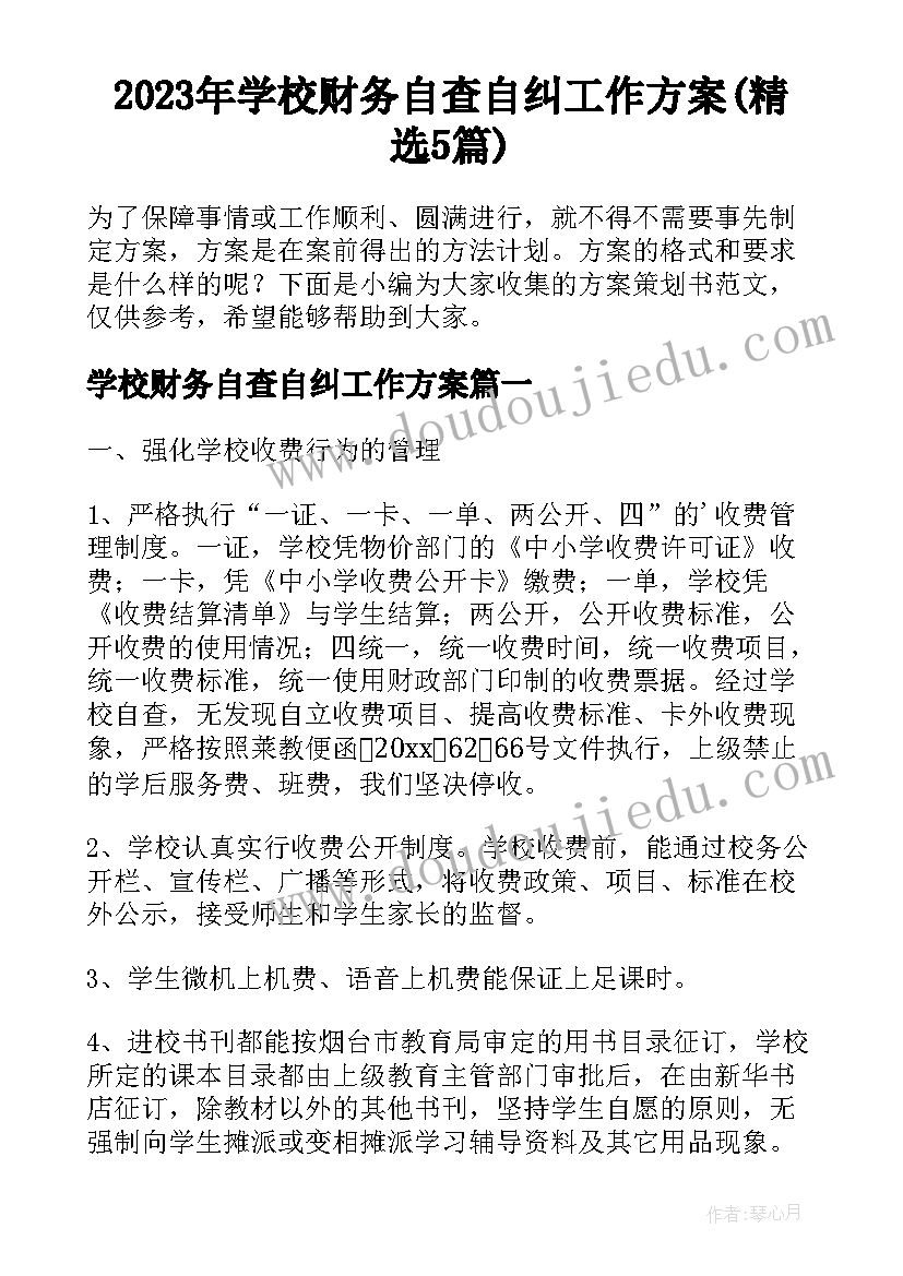 2023年学校财务自查自纠工作方案(精选5篇)