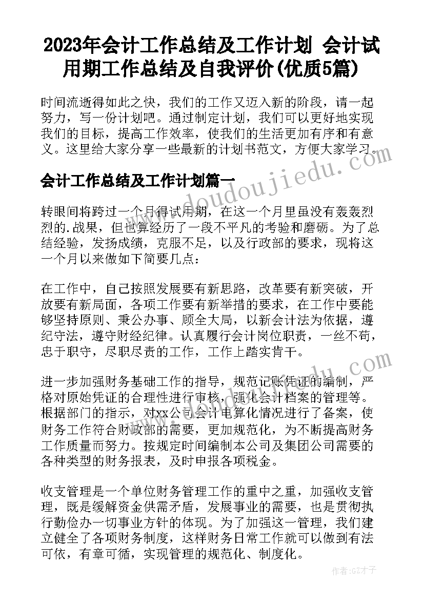 2023年会计工作总结及工作计划 会计试用期工作总结及自我评价(优质5篇)