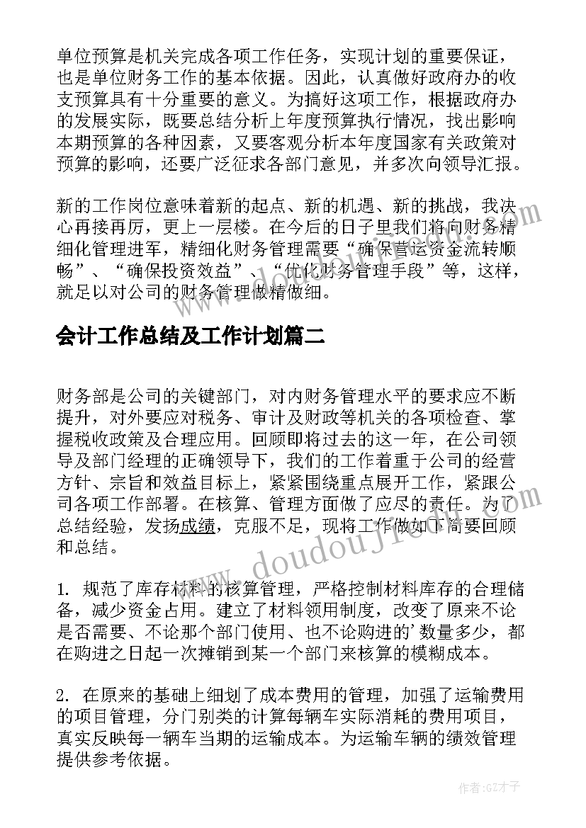 2023年会计工作总结及工作计划 会计试用期工作总结及自我评价(优质5篇)