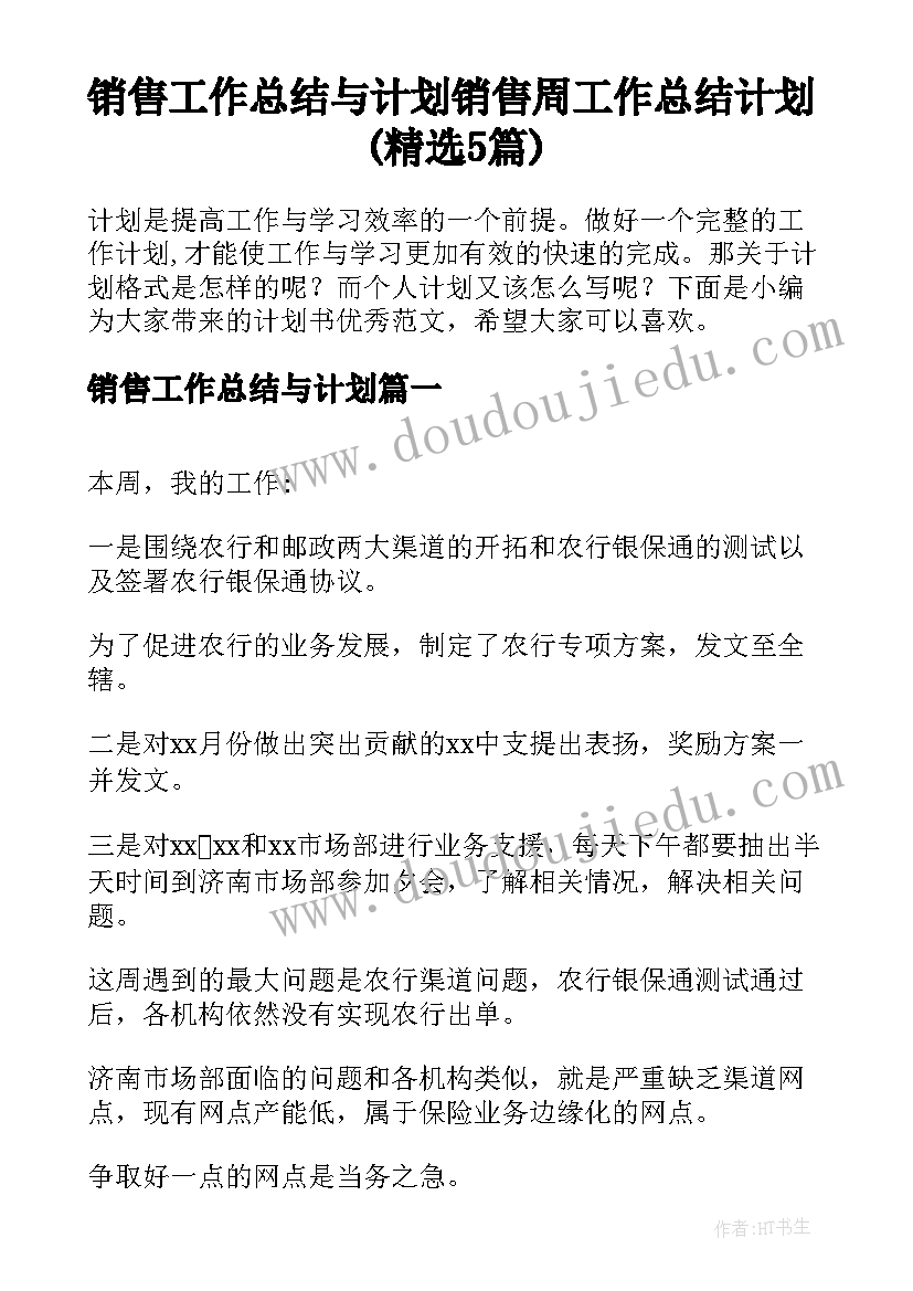 销售工作总结与计划 销售周工作总结计划(精选5篇)