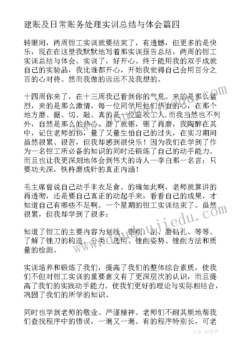 建账及日常账务处理实训总结与体会(精选7篇)