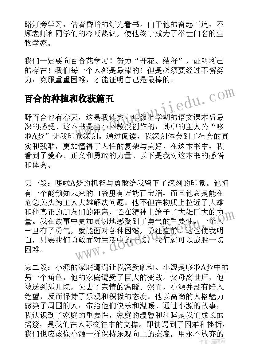 百合的种植和收获 心田上的百合花读书心得体会(优质5篇)