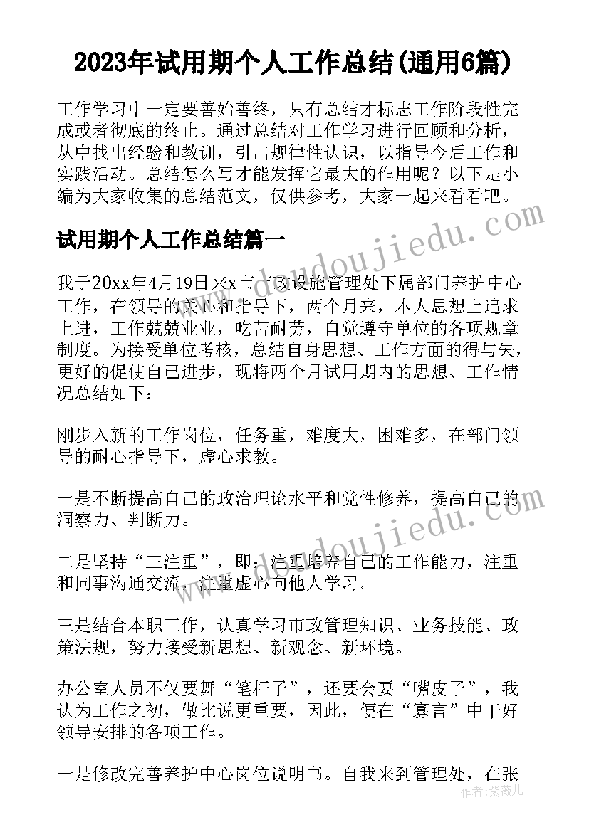 2023年试用期个人工作总结(通用6篇)