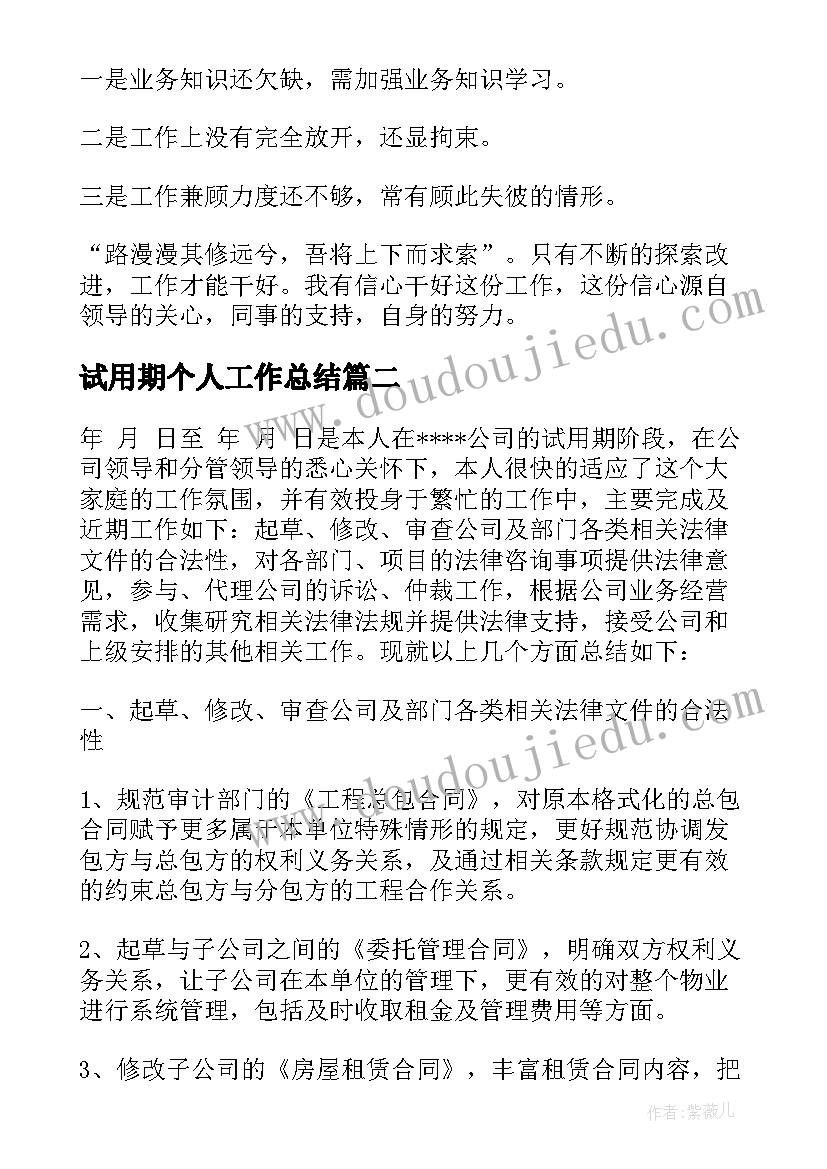 2023年试用期个人工作总结(通用6篇)