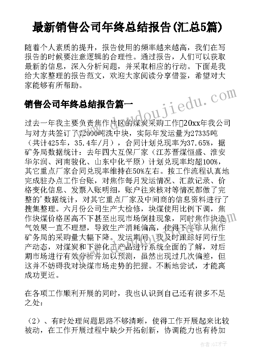 最新销售公司年终总结报告(汇总5篇)