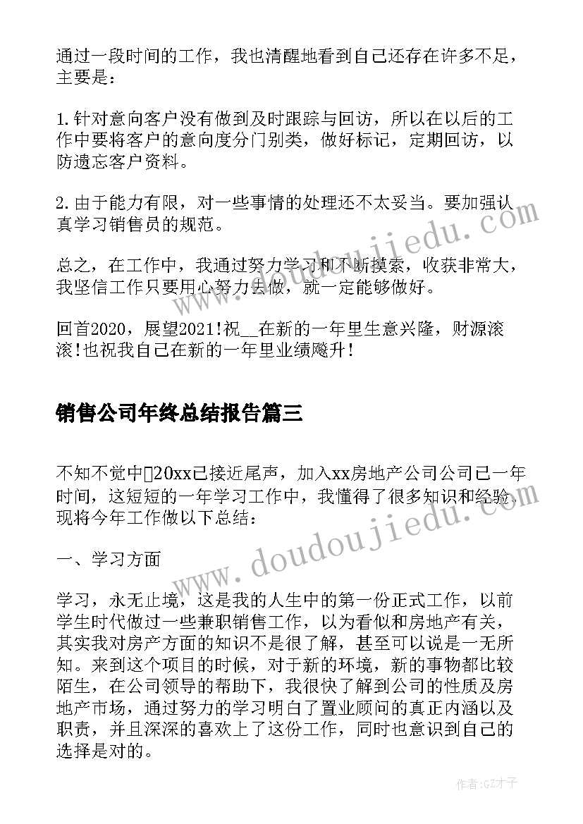 最新销售公司年终总结报告(汇总5篇)