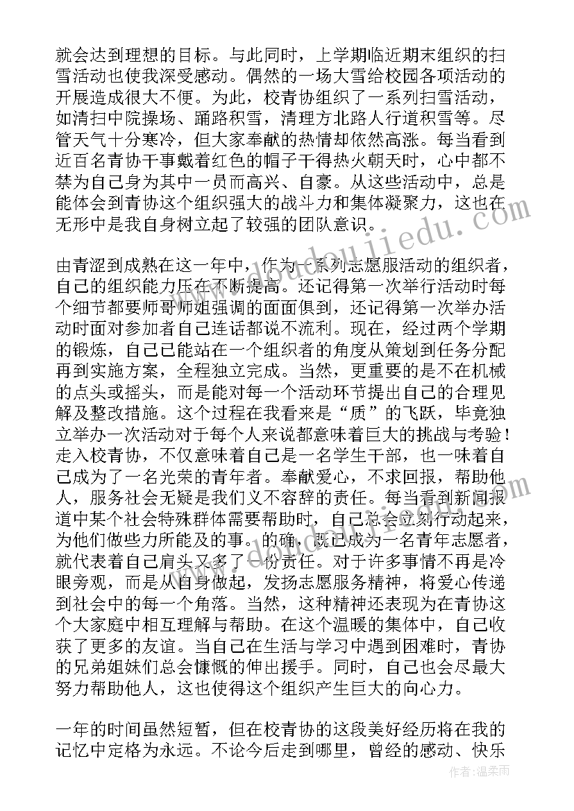 2023年青年志愿者协会规划总结 青年志愿者协会工作总结(优秀9篇)